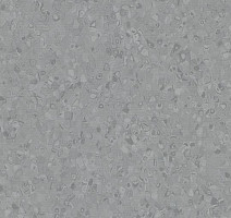 Линолеум Forbo Sphera Element 50009 lead фото 1 | FLOORDEALER